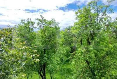 Casă cu 4 camere cu Teren 4873 Mp în Moldovenești - 9