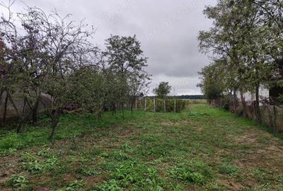 Teren de 3384 mp, în Periș - 5