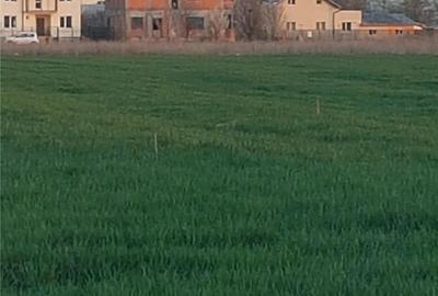 Teren de 5535 mp, în Central - 2