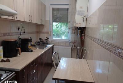 Apartament cu 2 camere în Șega - 9