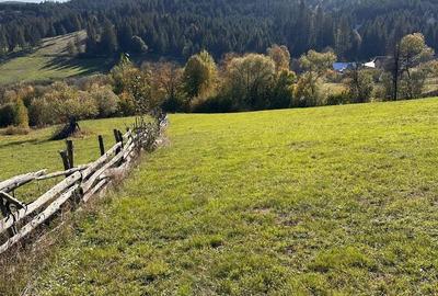 Spațiu comercial, în Pleșa - 2