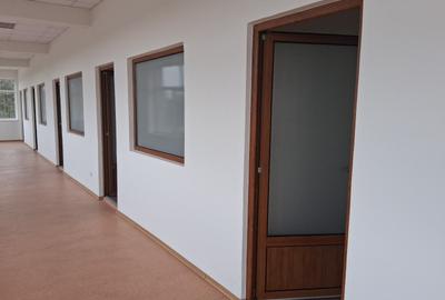 Imobil D+P+E pretabil servicii, suprafata 3488 mp, teren 6800 mp front 51 ml! - 12