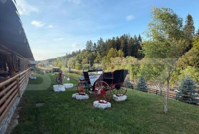 Cabana din lemn rotund, 2 camere, 140 mp, teren 2800 mp, Pal - 10