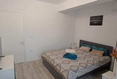 Apartament cu 2 camere decomandat în Vișani - 11