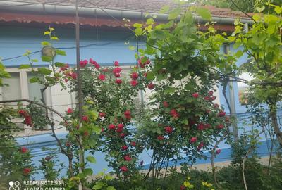 Casă cu 3 camere în Țuglui - 2