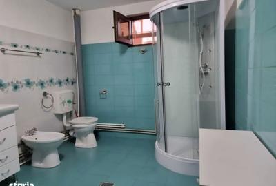 Casă cu 4 camere în Alunișu - 14
