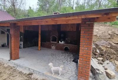 Casa de vacan?a la cheie - 4