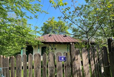 Casă cu 3 camere în Necșești