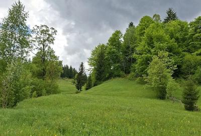 Teren de 23330 mp, în Ciugheș