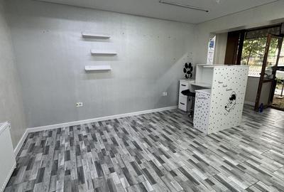 Spațiu comercial, de 45 mp, în Exterior Vest