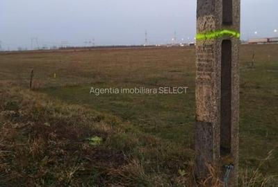 Teren Construcții intravilan de 6300 mp, în Sânpetru - 3