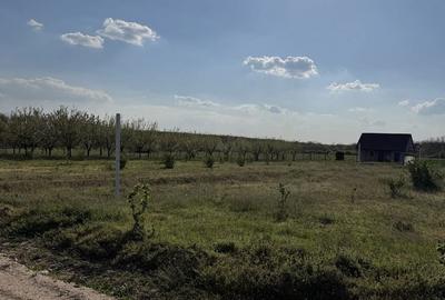 Spațiu comercial, în Păușa - 4