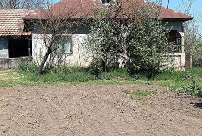 Casă cu 4 camere cu Teren 4200 Mp în Izvoru (Gogoșari) - 2