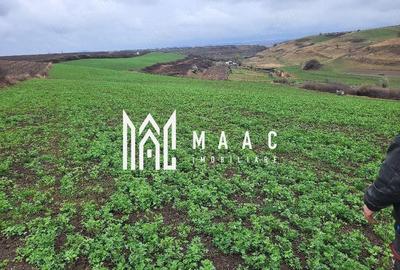 Teren agricol extravilan de 20500 mp, în Exterior Est - 1