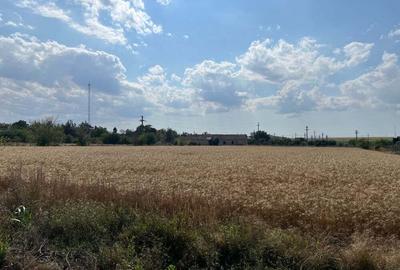 Teren de 13358 mp, în Nicolae Bălcescu - 4