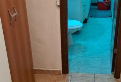 Garsonieră decomandată în Golești - 8