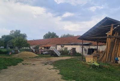 Casă cu 4 camere cu Teren 3000 Mp în Cârnești - 2