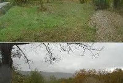 Teren faneata Vizantea Livezi; ID: R2800475 - 5