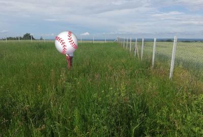 Teren de 35000 mp, în Exterior Vest - 4