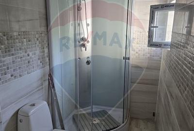 Casa noua + casa veche boiereasca renovabila - 4