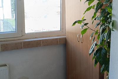 Apartament cu 2 camere decomandat în Ostroveni - 7
