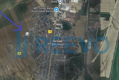 Teren de vanzare, Com. Nicolae Balcescu, Jud. Bacau - 4
