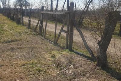 Teren de 700 mp, în Bolovani - 3