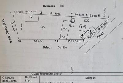 Casă în Ciuperceni - 6