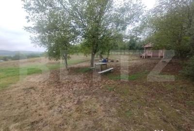 Teren de 5000 mp, în Central - 2