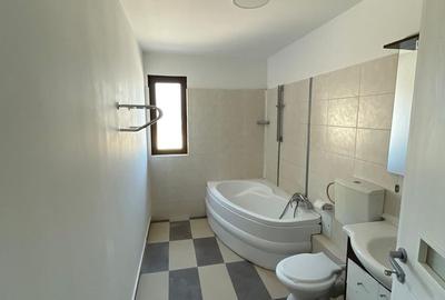 Spațiu industrial, de 590 mp, în Frumușani - 11