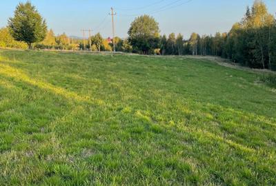 Spațiu comercial, în Dealu Mare