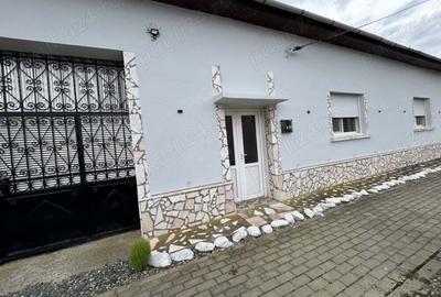 Vand casa Gavojdia - 1