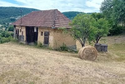 Se vinde casa batraneasca in zona de munte - 3