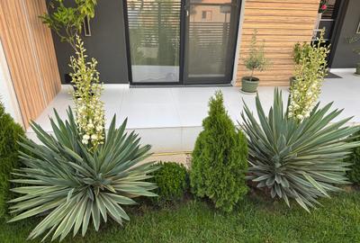 🏡 Casă Premium Parter • 4 Camere • Design Unic • Comuna Berceni - 10
