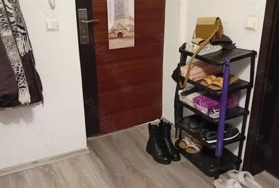 Garsonieră nedecomandată în Turnișor - 2