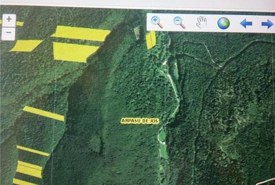 Teren de 3100 mp, în Arpașu de Sus - 2