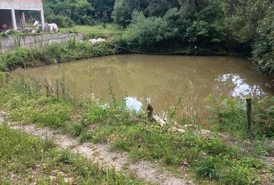 Teren de 2000 mp, în Florești - 3