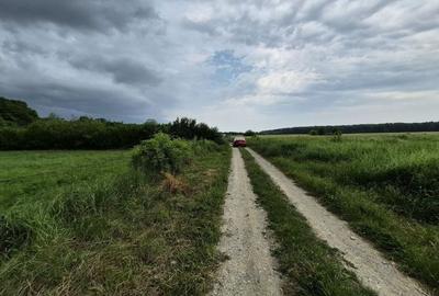 Teren intravilan langa pădure 1260 mp , deschidere 20 ml Prahova -Misl - 14