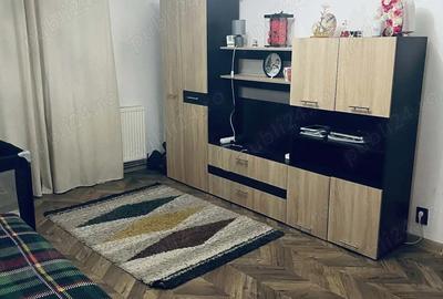 Apartament cu 2 camere semidecomandat în Noua - 2