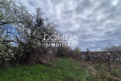 Teren Construcții de 6504 mp, în Curtișoara - 4