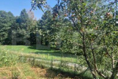 Casă cu 4 camere cu Canalizare în Bran - 11