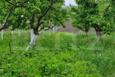Casă cu 3 camere cu Canalizare în Bod - 7