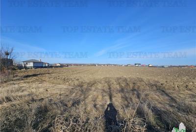 SUPER-PRET Teren 4000mp stradal pe Soseaua Ordoreanu SUPER-PRET Teren 4000mp stradal pe Soseaua Ordoreanu - 3