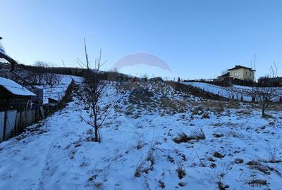 Casă cu 6 camere cu Teren 2803 Mp în Central - 10