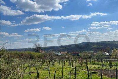 RECO teren de in zona Paleu - 2