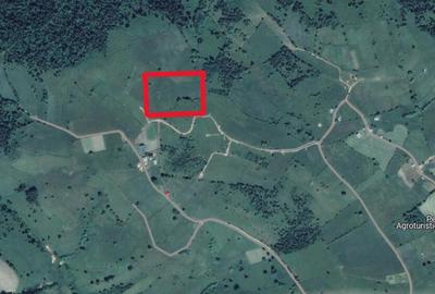 Teren de vanzare ideal pentru cabana in Maguri Racatau - 1