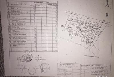 Spațiu comercial, de 2,300 mp, în Motiș - 6