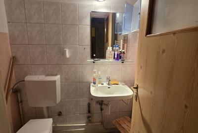 Titan, chiar la intrare in Parcul IOR, pe Lunca Bradului, la Scoala 195 - 7