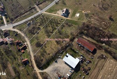 Teren de 6650 mp, în Remetea Chioarului - 4