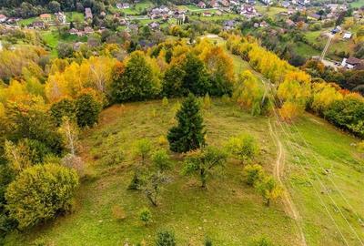Film! Teren in peisaj mirific, Parcul Natural Piatra Craiului, Moieciu, Magura, - 5